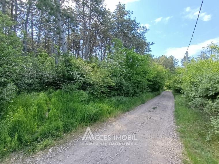 Teren pentru construcții 55 ari, Buiucani, str. Dragomirna!: 4