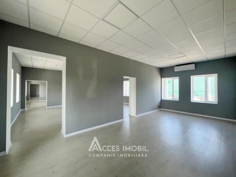 Chirie! Spațiu Comercial, 310m2! Centru, str. Columna! Variantă albă!: 3