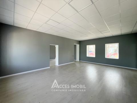 Chirie! Spațiu Comercial, 310m2! Centru, str. Columna! Variantă albă!: 4