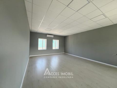 Chirie! Spațiu Comercial, 310m2! Centru, str. Columna! Variantă albă!: 5