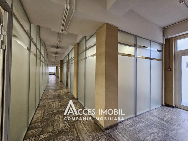 Spațiu Comercial 480m2! Centru, str. 31 August 1989. Euroreparație!: 10