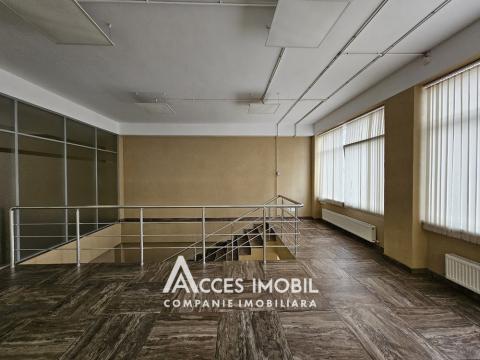 Spațiu Comercial 480m2! Centru, str. 31 August 1989. Euroreparație!: 11