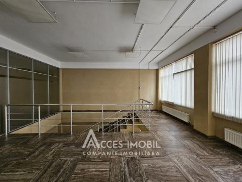 Chirie! Spațiu Comercial 480m2! Centru, str. 31 August 1989. Euroreparație!: 11