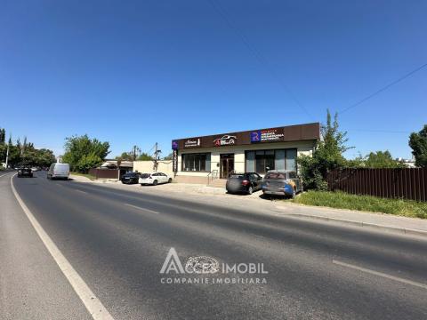 Chirie spații comerciale în Chișinău: Centru, str. Albișoara