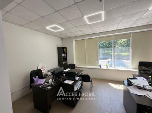 Chirie! Spațiu Comercial 150m2! Centru, str. Albișoara! Euroreparație!: 5