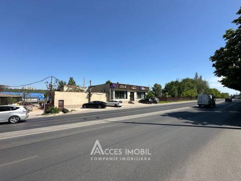 Chirie! Spațiu Comercial 150m2! Centru, str. Albișoara! Euroreparație!: 10