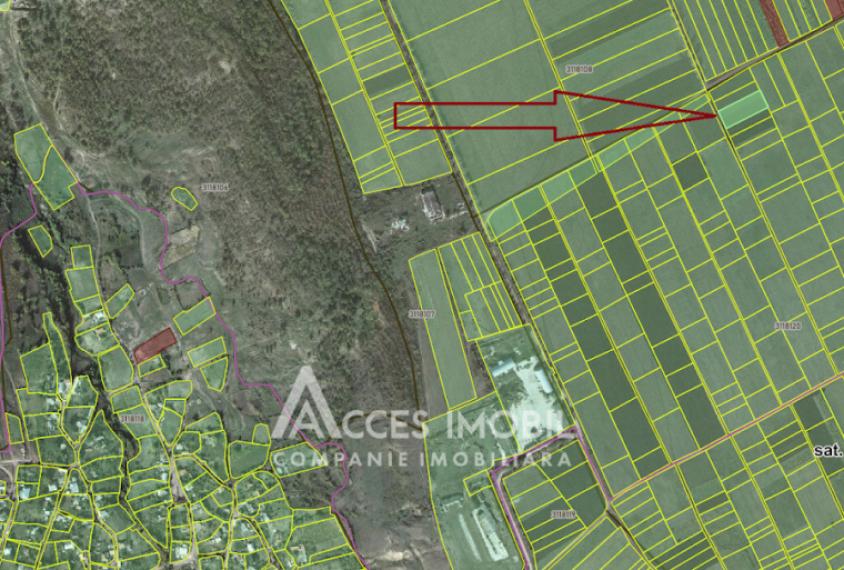 Сельскохозяйственный земельный участок, 22 соток. Бошкана!: 1