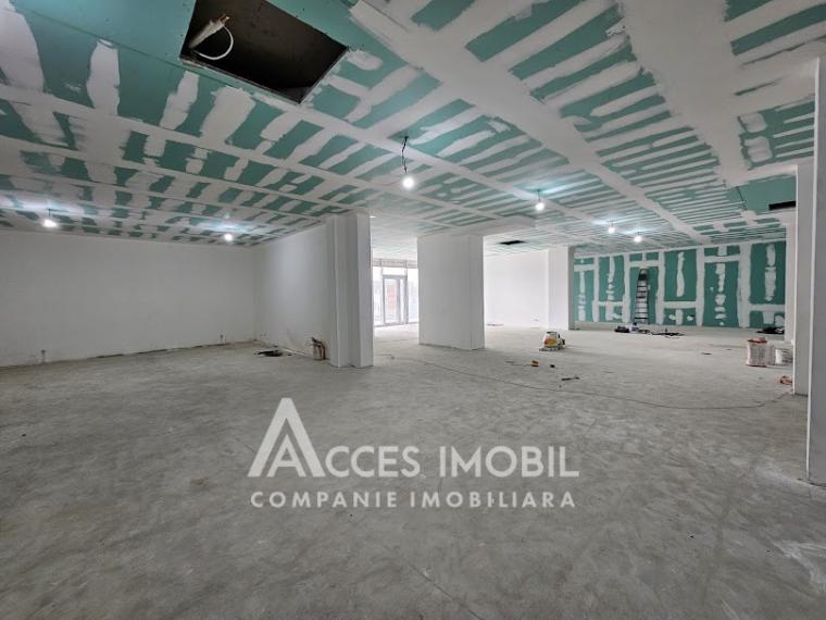 Spațiu comercial! Dumbrava, str. Durlești, 299m2. Variantă albă!: 3