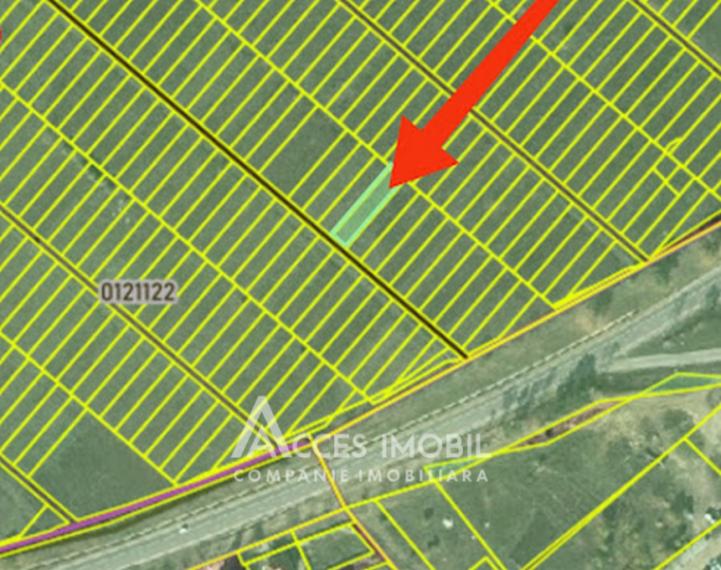 Lot de teren pomicol 5 ari! Durlești, șos. Balcani!: 5