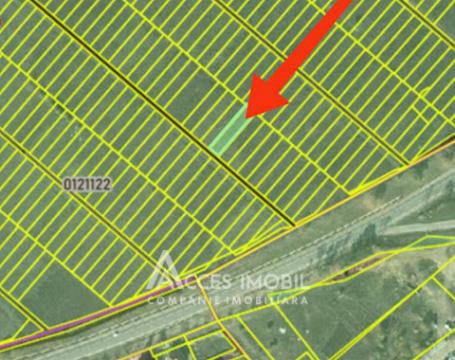 Lot de teren pomicol 5 ari! Durlești, șos. Balcani!: 5