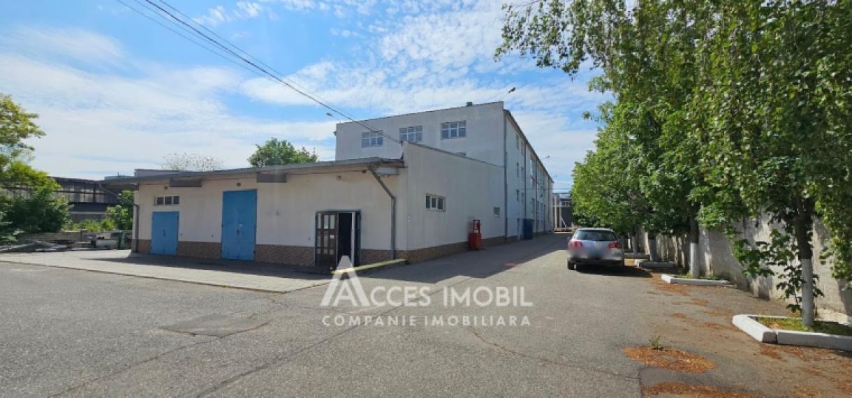 Chirie! Spațiu pentru Producere/Depozit 2650m2, Ciocana!: 17