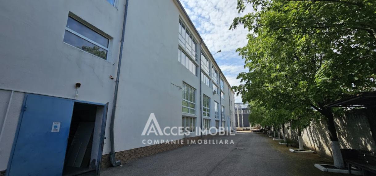Chirie! Spațiu pentru Producere/Depozit 2650m2, Ciocana!: 19