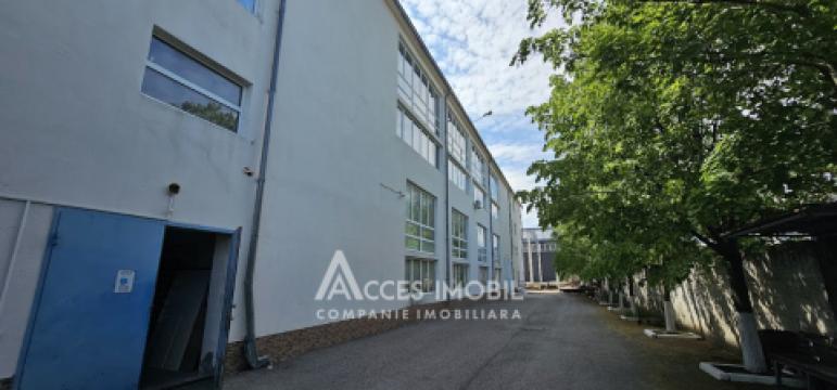 Chirie! Spațiu pentru Producere/Depozit 2650m2, Ciocana!: 19