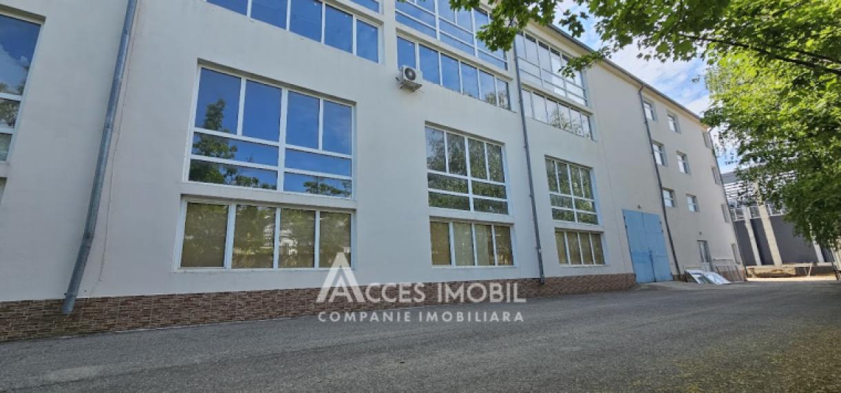 Chirie! Spațiu pentru Producere/Depozit 2650m2, Ciocana!: 18