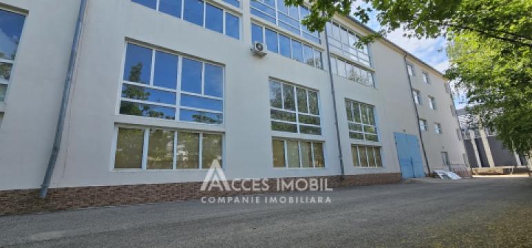 Chirie! Spațiu pentru Producere/Depozit 2650m2, Ciocana!: 18