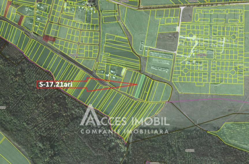Teren pomicol 17 ari! Buneț, str. Pădurilor!: 3