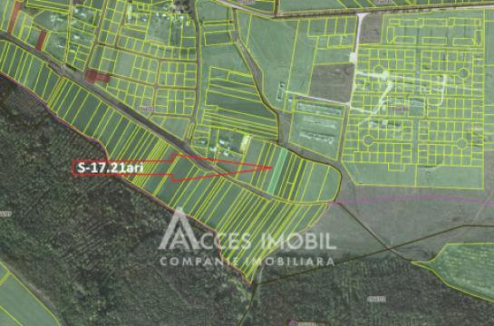 Teren pomicol 17 ari! Buneț, str. Pădurilor!: 3