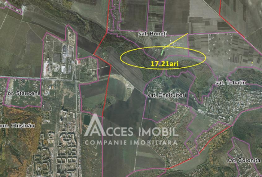 Teren pomicol 17 ari! Buneț, str. Pădurilor!: 4