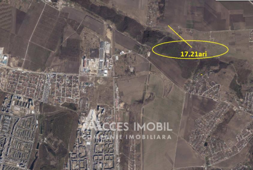 Teren pomicol 17 ari! Buneț, str. Pădurilor!: 5