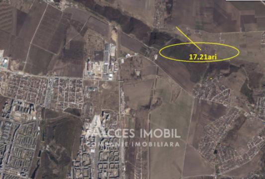 Teren pomicol 17 ari! Buneț, str. Pădurilor!: 5