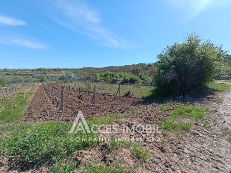 Land for construction 12 aries! Truseni, Valnova street!: 0