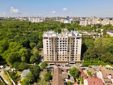 Astercon: Valea Trandafirilor: 1