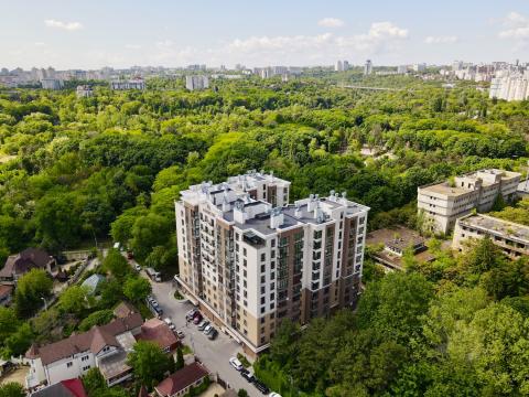 Astercon: Valea Trandafirilor: 7