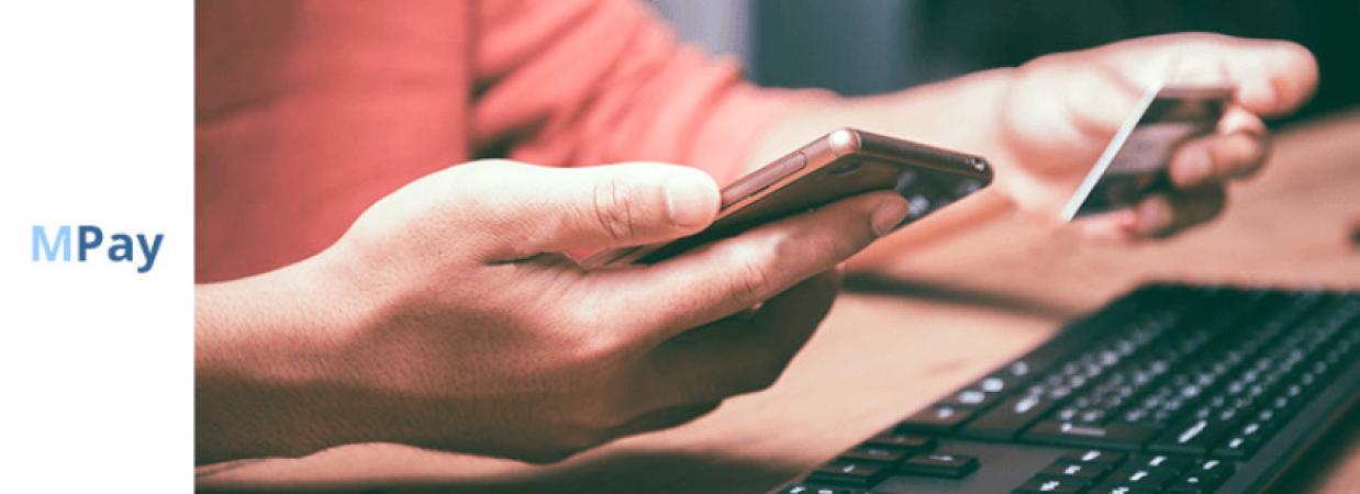 Achitare / Verificare impozit pe venit [2 modalități] - 1