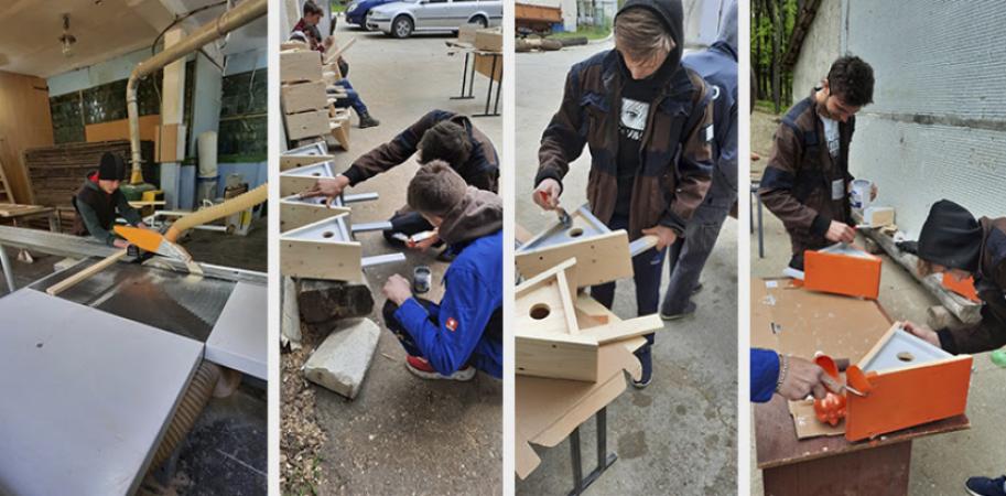 Căsuțe pentru păsări în parcul Valea Morilor - Proiect Social - 1