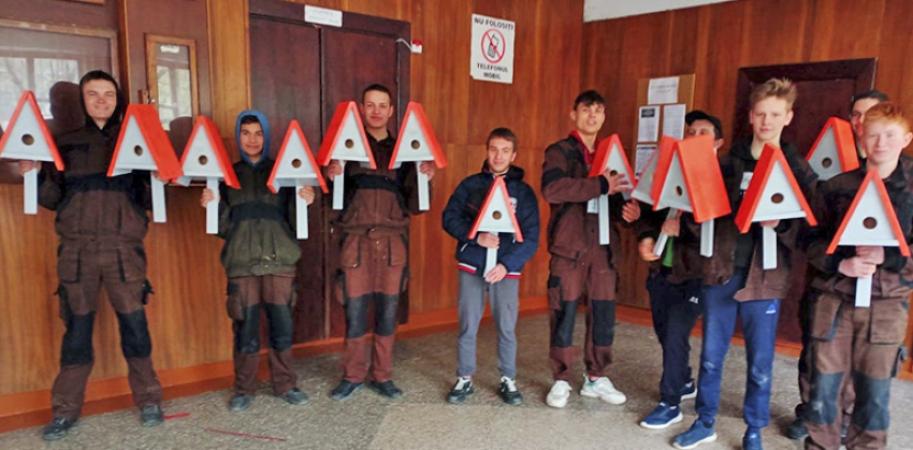 Căsuțe pentru păsări în parcul Valea Morilor - Proiect Social - 1