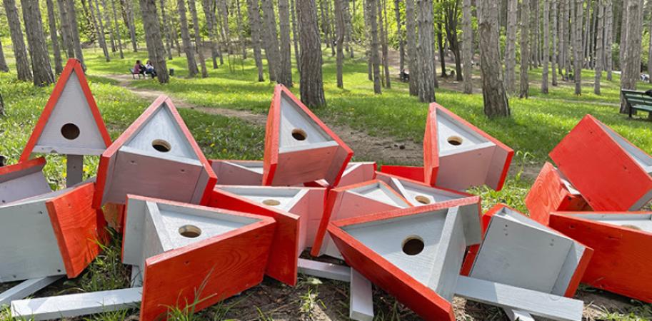 Căsuțe pentru păsări în parcul Valea Morilor - Proiect Social - 1