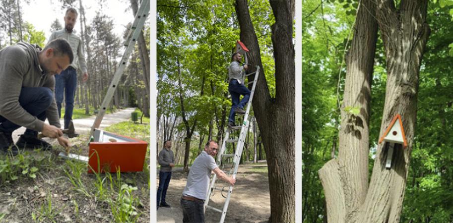 Căsuțe pentru păsări în parcul Valea Morilor - Proiect Social - 1
