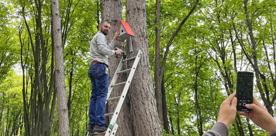 Căsuțe pentru păsări în parcul Valea Morilor - Proiect Social - 1