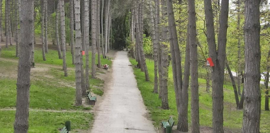 Căsuțe pentru păsări în parcul Valea Morilor - Proiect Social - 1