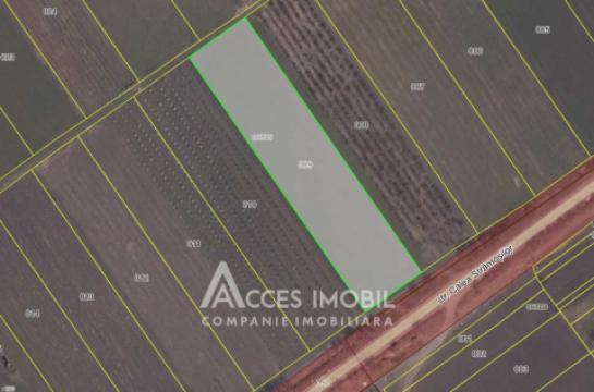 Teren intravilan agricol 57 ari. Colonița, str. Calea Strămoşilor!: 2