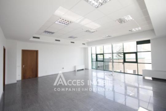 Chirie! Spațiu comercial 555m2! Centru, bd. Ștefan cel Mare!: 5