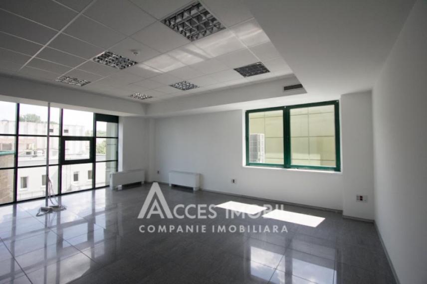 Chirie! Spațiu comercial 555m2! Centru, bd. Ștefan cel Mare!: 6