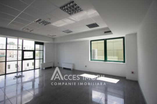 Chirie! Spațiu comercial 555m2! Centru, bd. Ștefan cel Mare!: 6