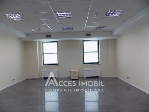 Chirie! Spațiu comercial 555m2! Centru, bd. Ștefan cel Mare!: 7