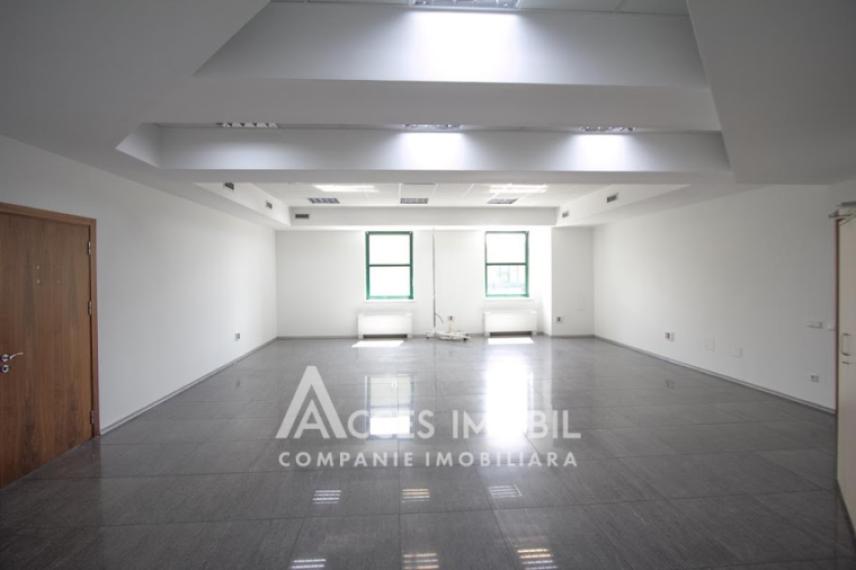 Chirie! Spațiu comercial 555m2! Centru, bd. Ștefan cel Mare!: 8
