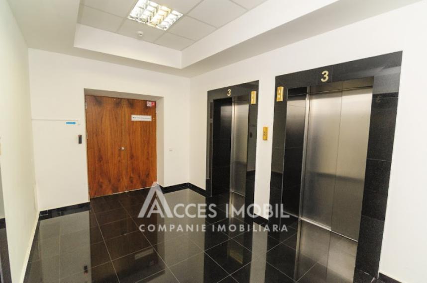 Chirie! Spațiu comercial 555m2! Centru, bd. Ștefan cel Mare!: 11