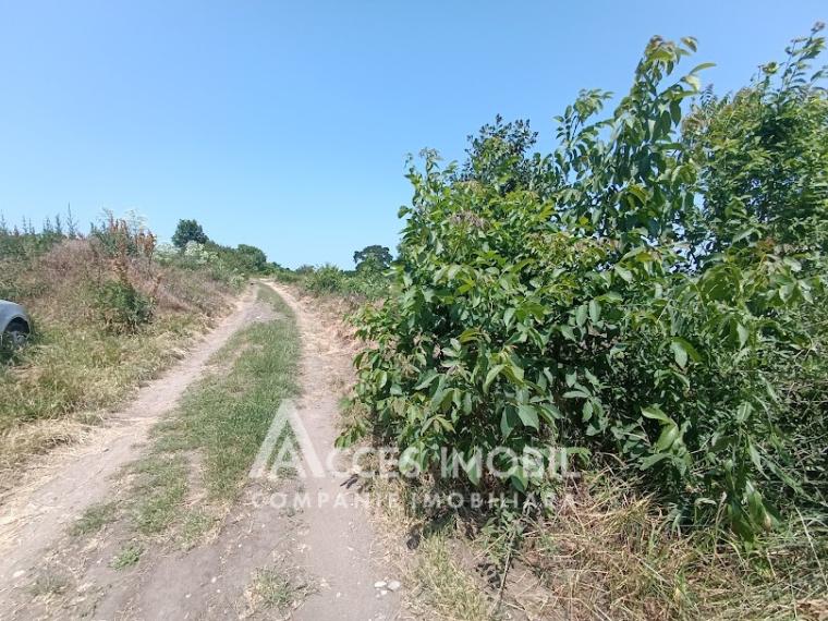 Teren pentru construcții 9 ari! str-la. Codrilor, Durlești!: 3