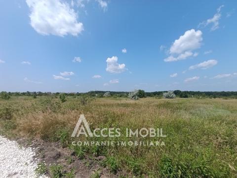 Teren pentru construcții 8.6 ari! Durlești, str. Tricolorului! Sectorul 104!: 3