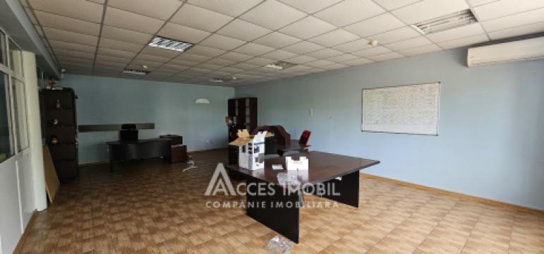 Spațiu Comercial 2 nivele 550m2 + 8 ari! Centru, str. Haltei!: 9