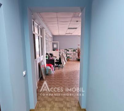 Spațiu Comercial 2 nivele 550m2 + 8 ari! Centru, str. Haltei!: 12