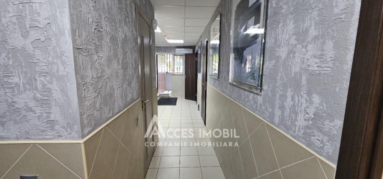 Spațiu Comercial, 70m2, G. Asachi! Euroreparație!: 6