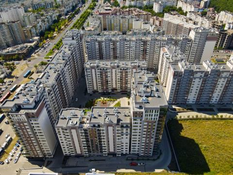 Exfactor: Mircea cel Bătrân: 7