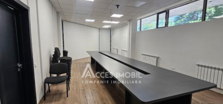 Chirie! Spațiu Comercial 500m2, str. Mitropolit B. Bodoni!: 1