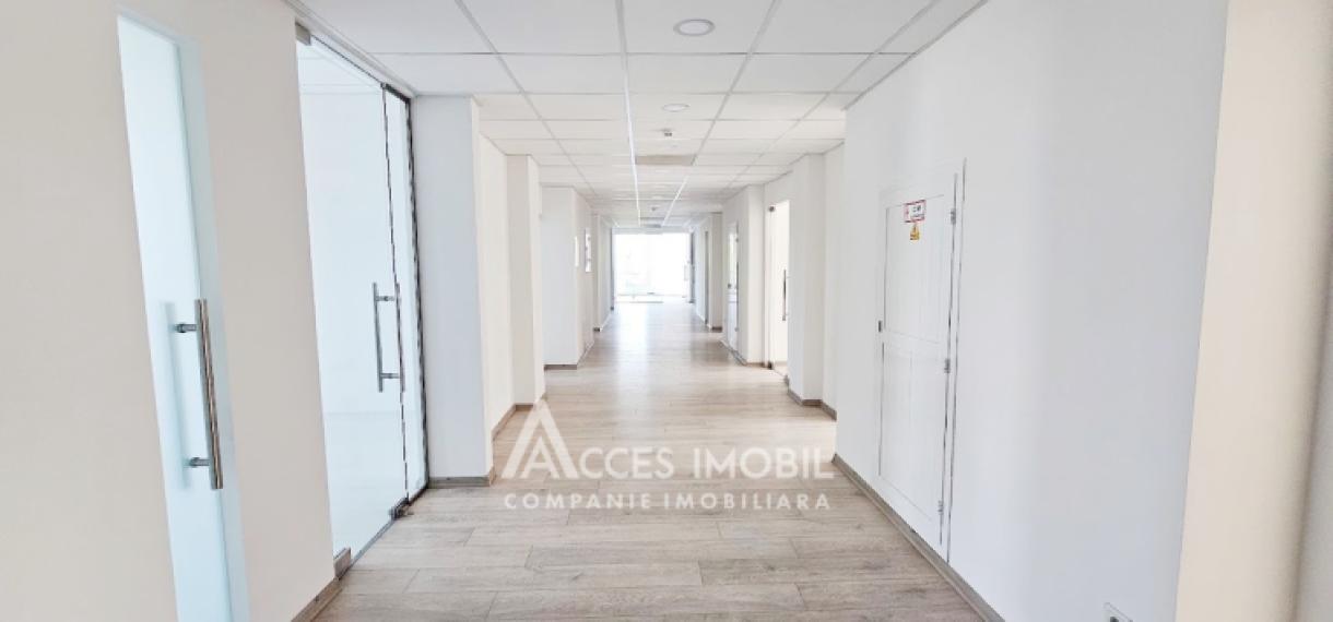 Chirie! Spațiu Comercial 500m2, str. Mitropolit B. Bodoni!: 2