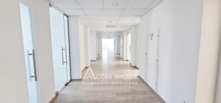 Chirie! Spațiu Comercial 500m2, str. Mitropolit B. Bodoni!: 2